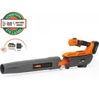 Воздуходувка Daewoo DABL 5521Li SET