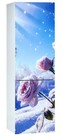 Холодильник Орск 175 B glass Rose