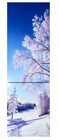 Холодильник Орск 175 B Glass Zima
