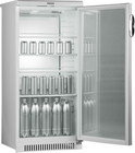 Холодильник Pozis Свияга-513-6 (серебристый)