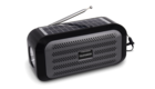 Портативная акустика Telefunken TF-PS1244B (черный/серый)