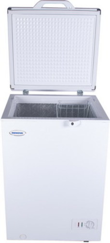 Морозильная камера Renova FC-110C (серебристый)