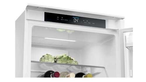 Встраиваемый холодильник Haier HBCN5190U1